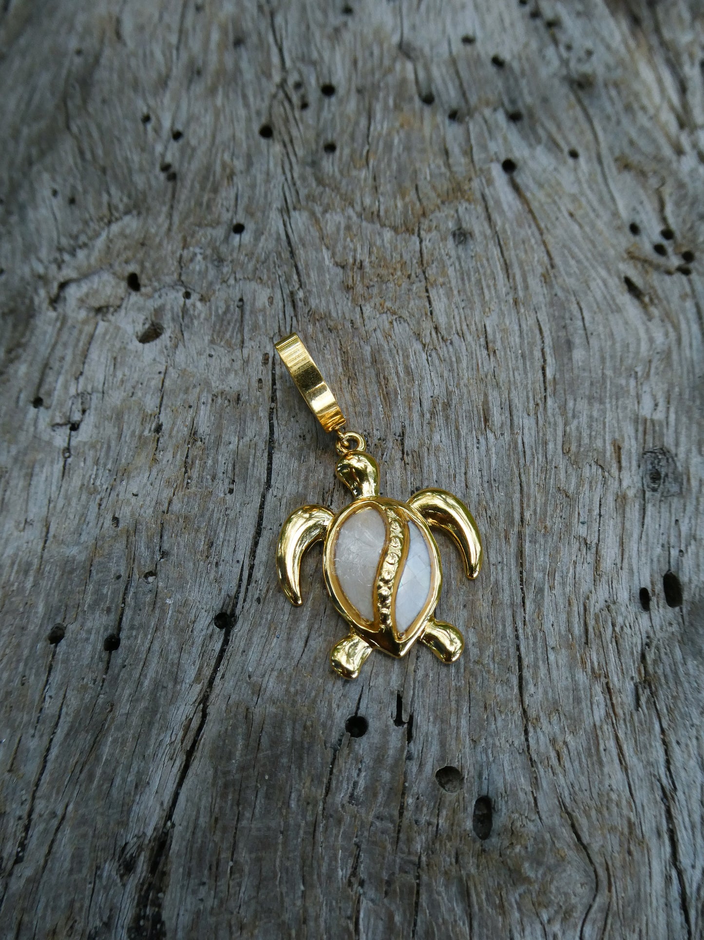 Bikini charm - tortue nacrée
