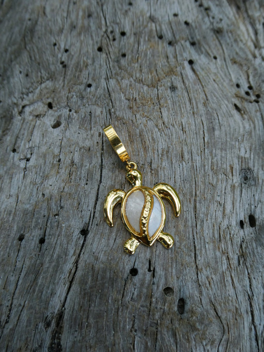 Bikini charm - tortue nacrée